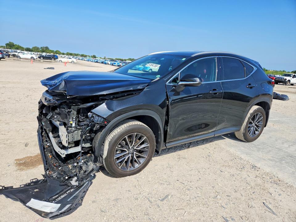2024 LEXUS NX