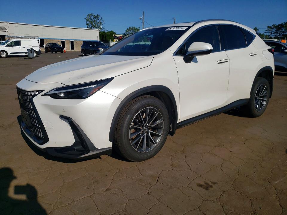 2024 LEXUS NX