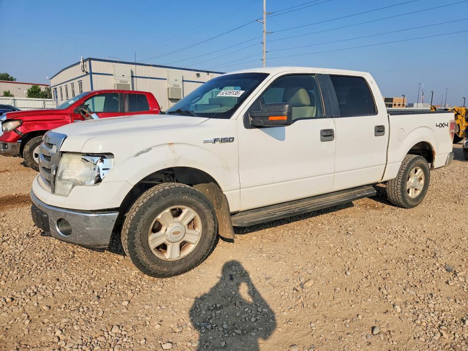 2010 FORD F150
