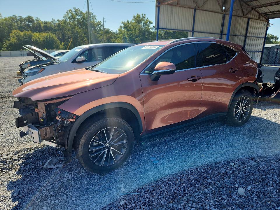 2025 LEXUS NX