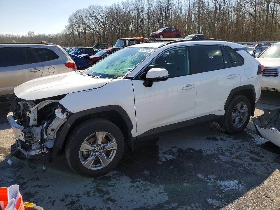 2024 TOYOTA RAV4 HYBRID