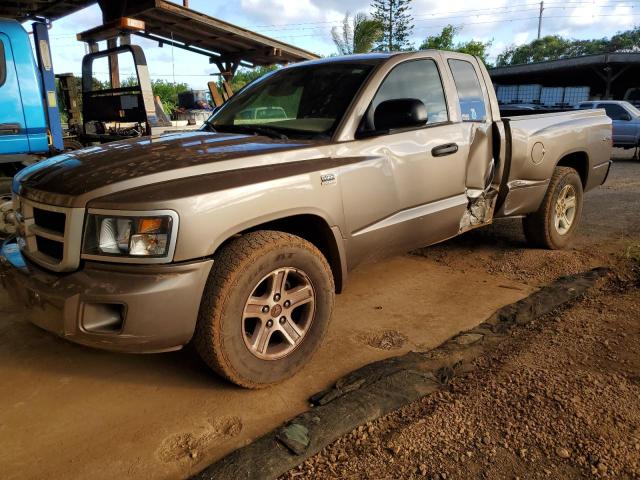 2010 DODGE DAKOTA